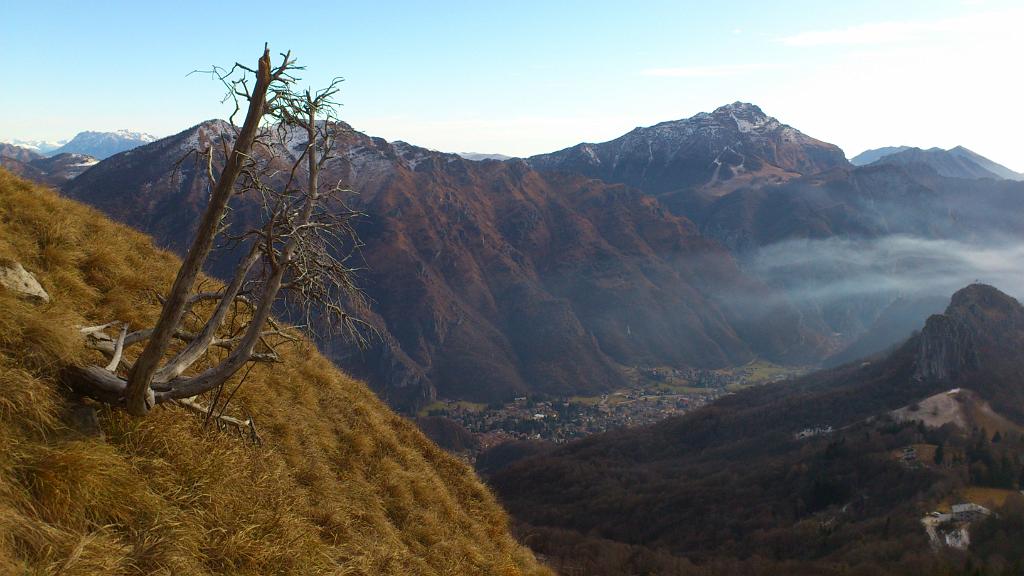 02 Alberello e Resegone.jpg